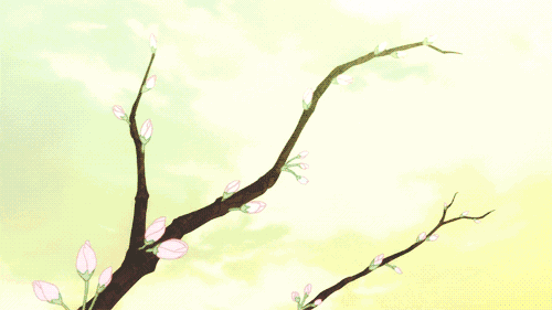 微信圖片_20190315125605.gif